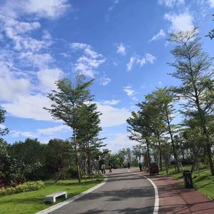 每天小消息头像