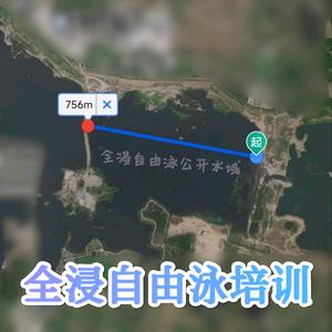全浸自由泳055美食头像