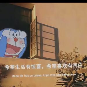 毛毛lwm头像
