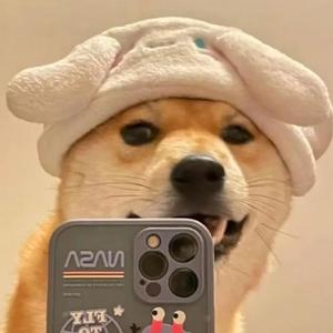 一日一笑丶头像