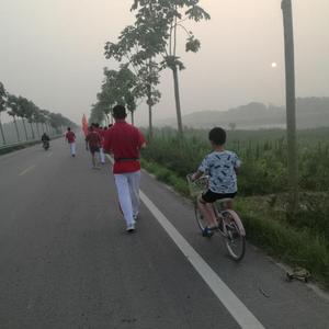 海海华为头像