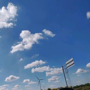 番茄你个西红柿7I0D头像