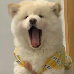 上进的橘子11头像