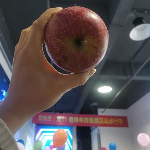 123齐步走L头像