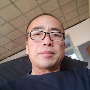 半地鸡毛头像
