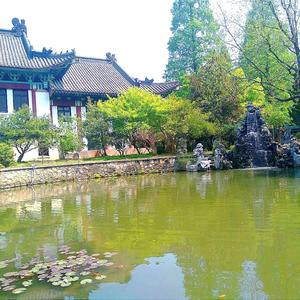 沐枫头像
