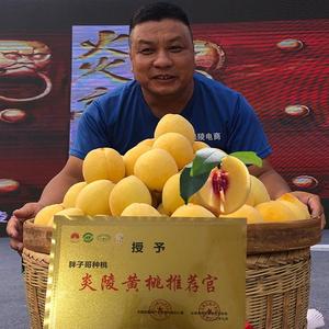 胖子哥种桃头像