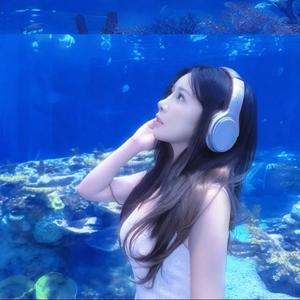 小短腿说车头像