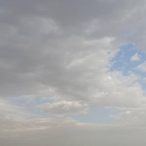 执着的阳光jfA头像