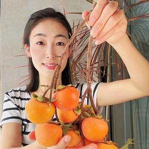 米姐～吃点啥头像