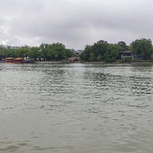 雨田讲解头像