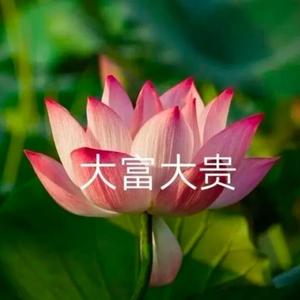 顽强生活家c4头像