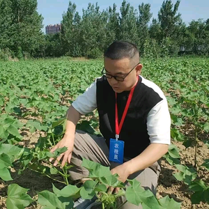 奇伟说农业头像