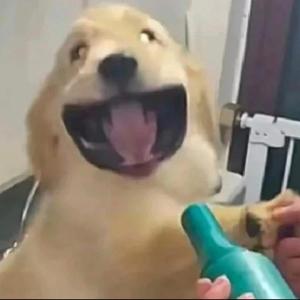 啊吧啊哈哈嗝头像