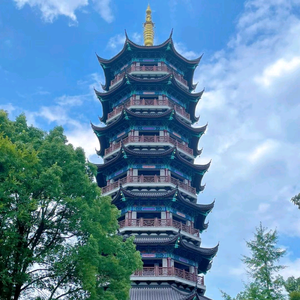 龙歌9头像