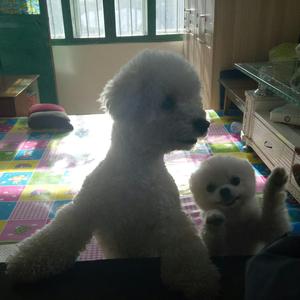 五常涛子头像