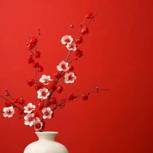 梦里花开n次头像