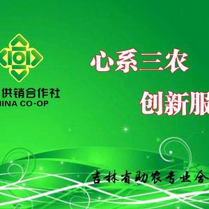 东北哥头像