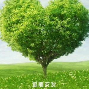一个花瓣看整个森林头像