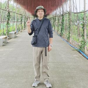 坦荡半生敬过往头像