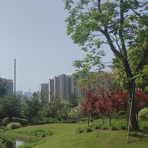 自由的轮船joz头像