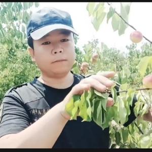 梨园小铺头像