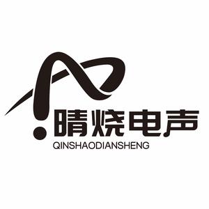 晴烧电声小何音响头像