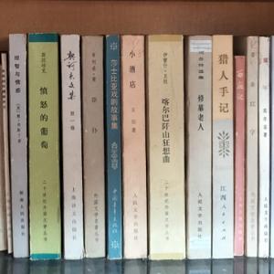 乐见客观头像