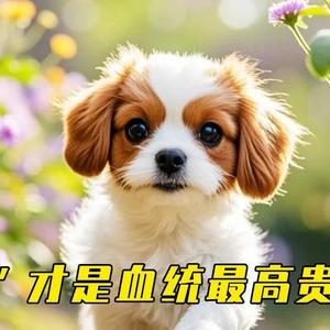 大千宇宙头像