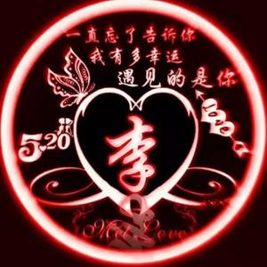 凌哥2013头像