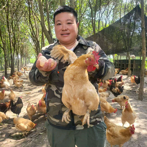 老四农人头像