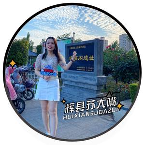 辉县苏大嘴头像