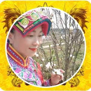 舞动奇迹（晚上6点半）头像