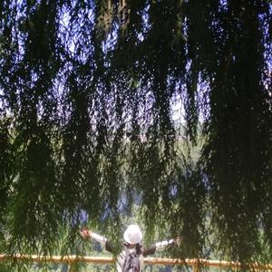 木子漠头像