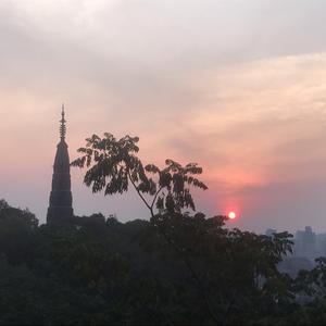 小李的旅行vlog头像