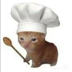 猫猫头像