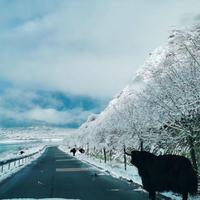 中国美丽世界头像