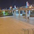 淘淘Vlog头像