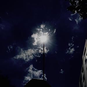 清风无人问n 头像