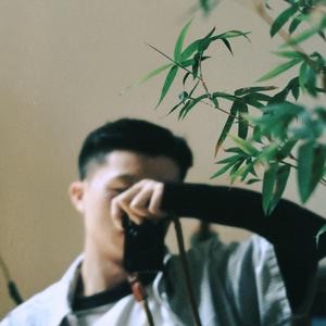 李想¹头像