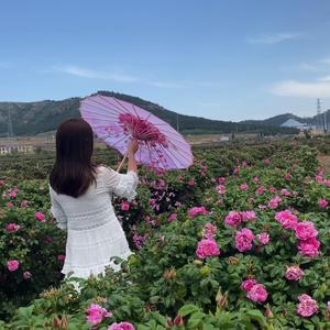 鲁班不上班头像