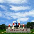 乘风破浪的艺术家头像