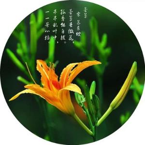 漫话岁月 头像