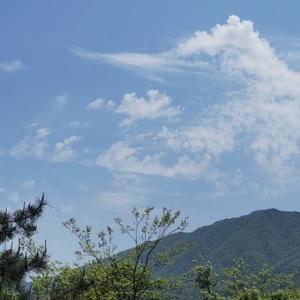 隐士肖头像