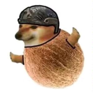 生瓜蛋子甜不甜头像