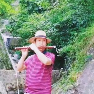 雪松笛声头像