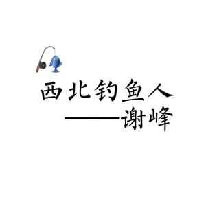 西北钓鱼人谢峰头像