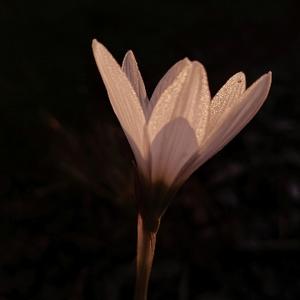 煜文yuwen头像
