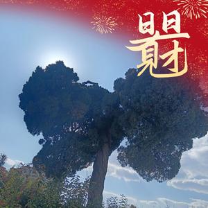石二先生的天珠头像
