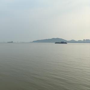 哈利路亚头像